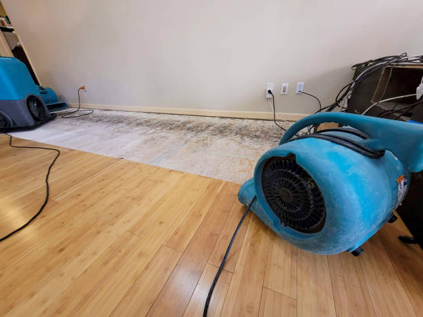 Professional Ceiling Water Damage Repair technician working in Morrisville, NC