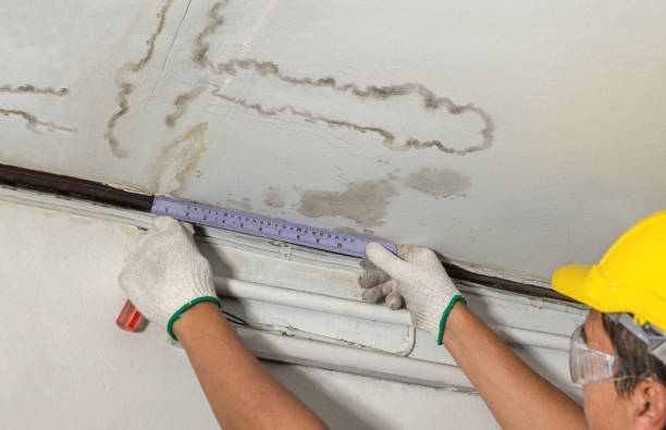 Affordable Ceiling Water Damage Repair solutions in Morrisville, NC